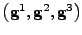 $ \left({\bf g}^1,{\bf g}^2,{\bf g}^3\right)$