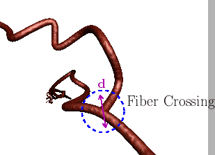 \includegraphics[height=5.0cm]{picture/fig_fiber_cross.eps}