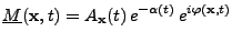 $\displaystyle \underline{M}({\bf x},t)=A_{\bf x}(t)\,e^{-\alpha(t)}\,e^{i\varphi({\bf x},t)}$